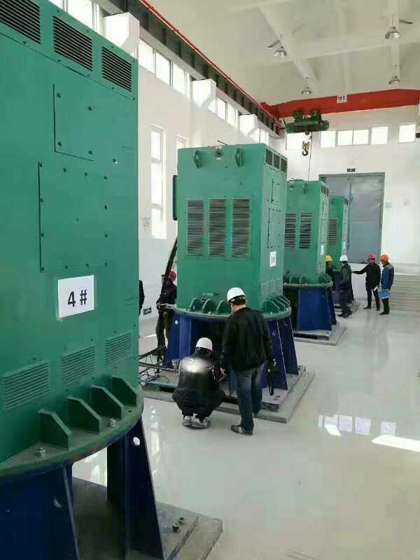 札达某污水处理厂使用我厂的立式高压电机安装现场
