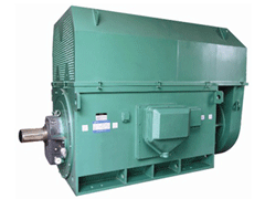 札达Y系列6KV高压电机